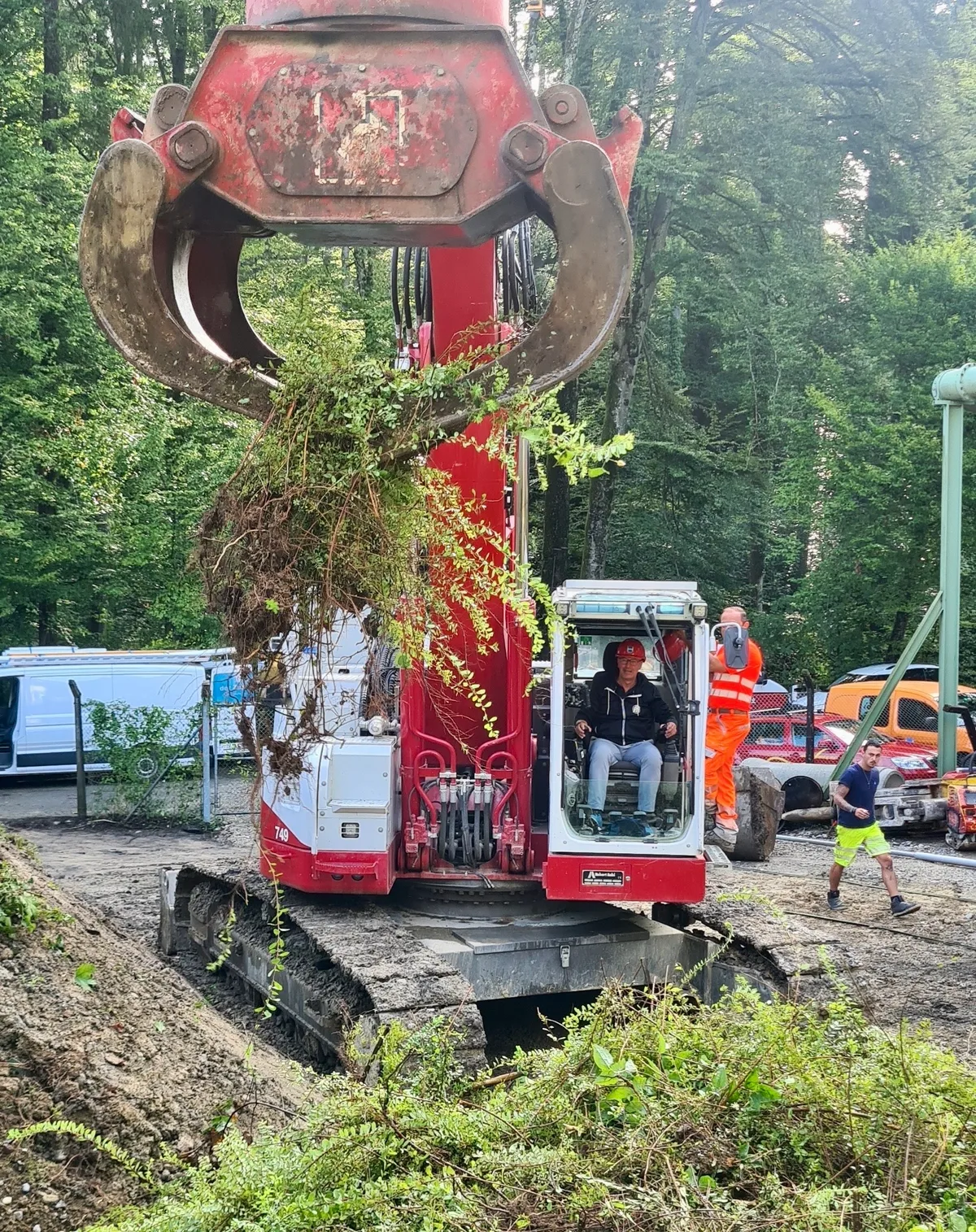 Man sieht einen Bagger, der einige Pflanzen hochhebt.